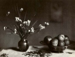 Fiori e frutti