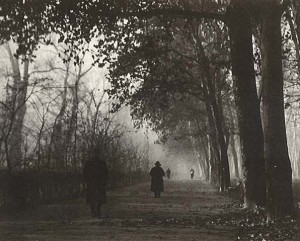 Ultime foglie (Autunno)