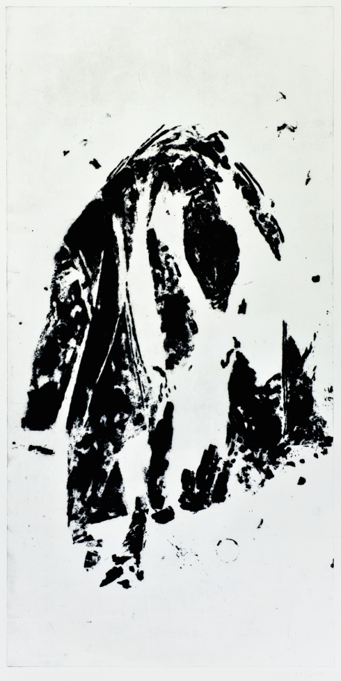 Senza titolo, 2014, carborundum (Riproduzione fotografica Stefano Tubaro)