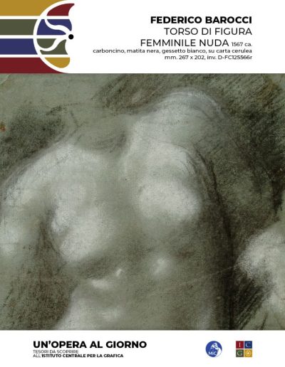 Federico Barocci Torso di figura femminile nuda, 1567 ca. Carboncino, matita nera, gessetto bianco, su carta cerulea, mm. 267 x 202, inv. D-FC125566r