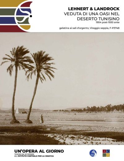 Lehnert & Landrock Veduta di una oasi nel deserto tunisino, 1904 post-1930 ante  gelatina ai sali d'argento, Viraggio seppia Inv.: F-P3748